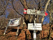 35 Al Passo del Pertus (1193 m)